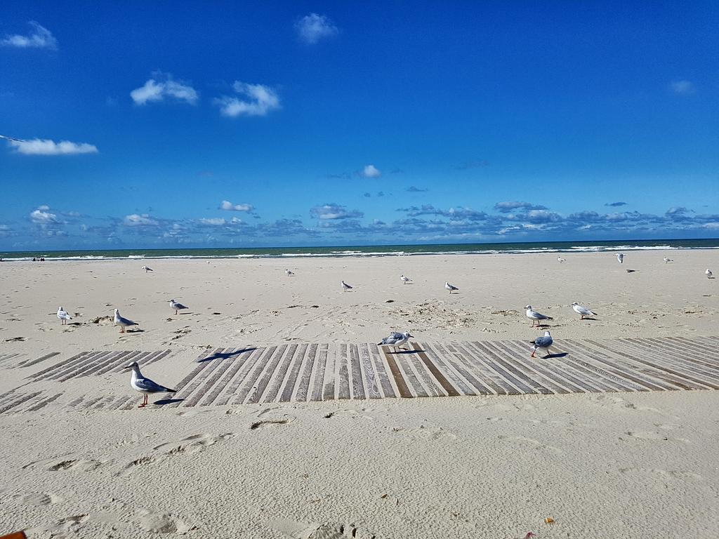 Les Fruits De Mer, Terrasse Sud, Parking Gratuit, Calme Et Tout A Pied Berck Luaran gambar